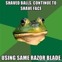 Foul Bachelor Frog