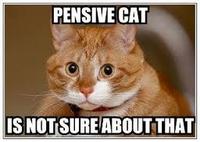 LOLcats