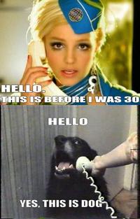 Yes, This is Dog