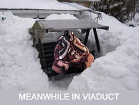 Pyroinviaduct