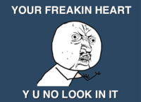 "Y U NO" Guy