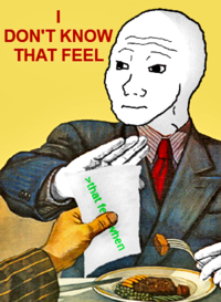 I Know That Feel Bro