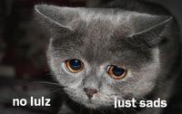 LOLcats
