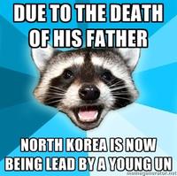 Lame Pun Coon