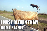 I Must Go