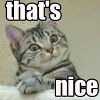 LOLcats