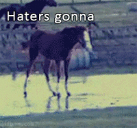 Haters Gonna Hate