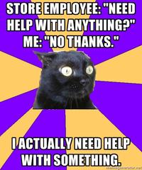 Anxiety Cat