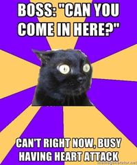 Anxiety Cat