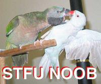 STFU