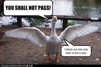 You Shall Not Pass!!!
