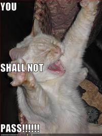 You Shall Not Pass!!!