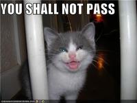 You Shall Not Pass!!!