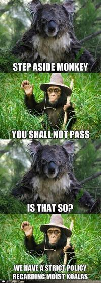 You Shall Not Pass!!!