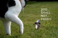 You Shall Not Pass!!!