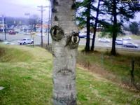 Things With Faces