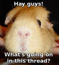 Hey Guys What's Going On This Thread?