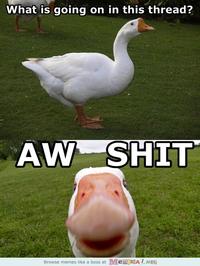 Hey Guys What's Going On This Thread?