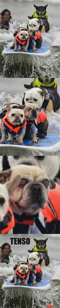 Tenso