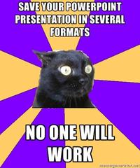 Anxiety Cat
