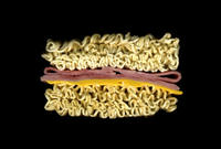 Scanwiches