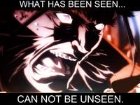 What Has Been Seen Cannot Be Unseen