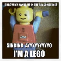 I Throw My Hands Up In The Air Sometimes Saying Ayo