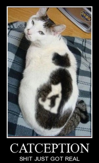 Inception