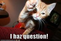 LOLcats