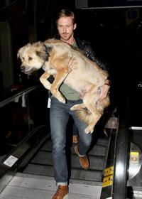 Ryan Gosling