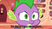 Pony Reactions