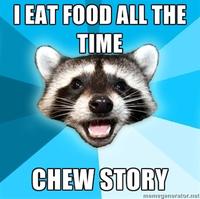 Lame Pun Coon
