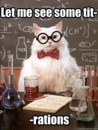 Chemistry Cat