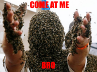 COME AT ME BRO