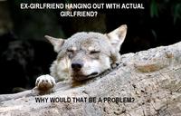 Ignorant to Adversity wolf