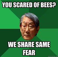 High Expectations Asian Father