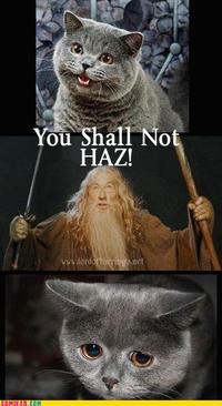 Lord Of The Rings