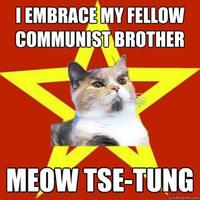 Lenin Cat