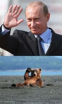 Vladimir Putin