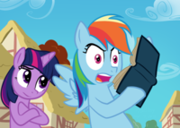 Pony Reactions