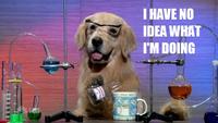 I Have No Idea What I'm Doing