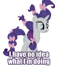 I Have No Idea What I'm Doing