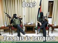 Yes, This is Dog