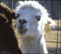 Baidu 10 Mythical Creatures (Grass Mud Horse)