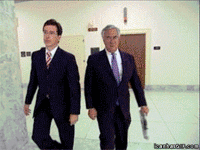 Like A Boss