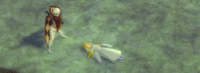The Legend of Zelda