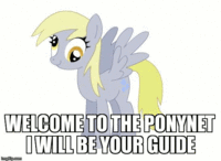 Pony Reactions