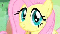Pony Reactions