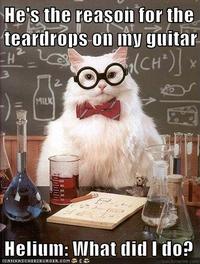 Chemistry Cat