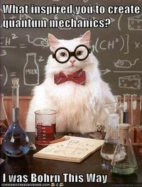 Chemistry Cat